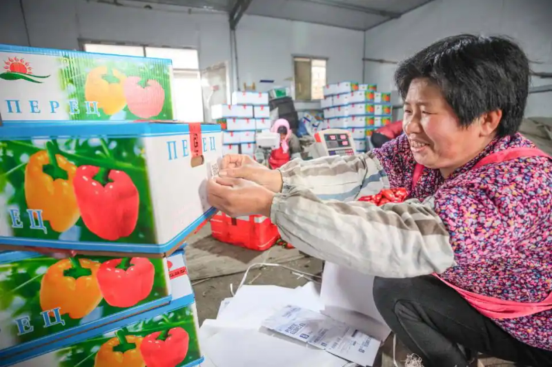 大棚的种植技术