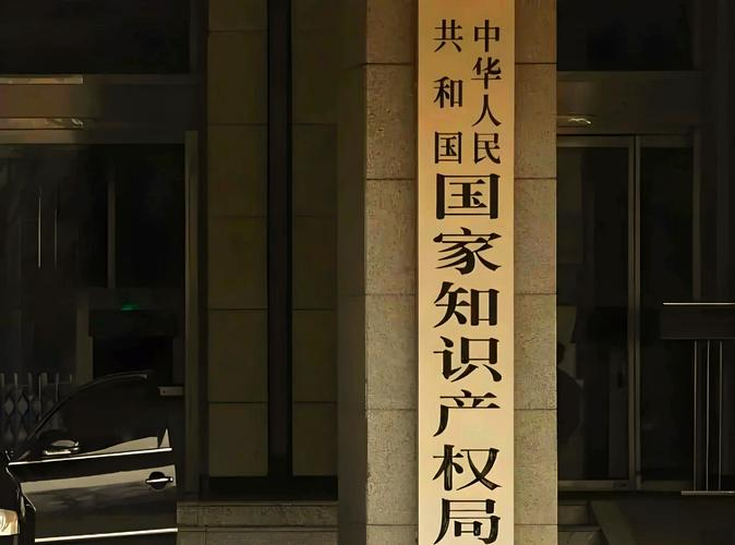 知识产权评估表