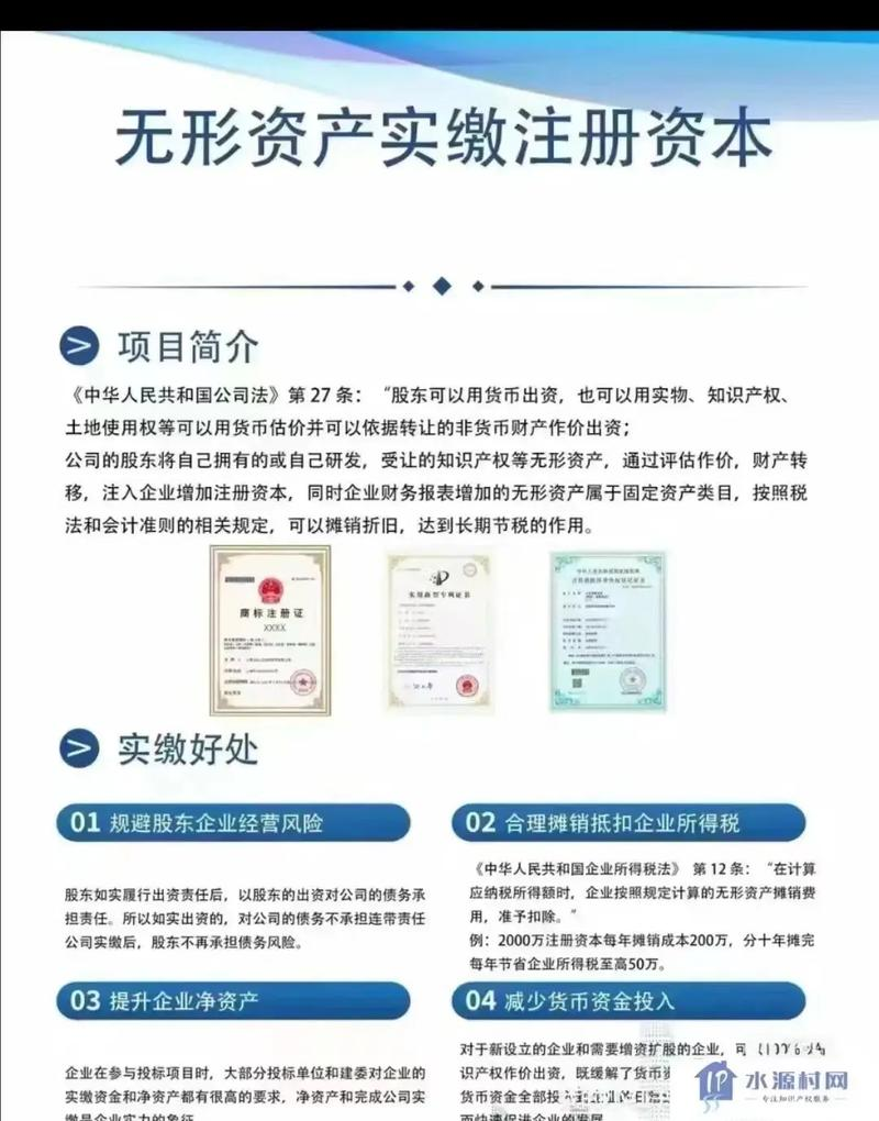 知识产权评估表