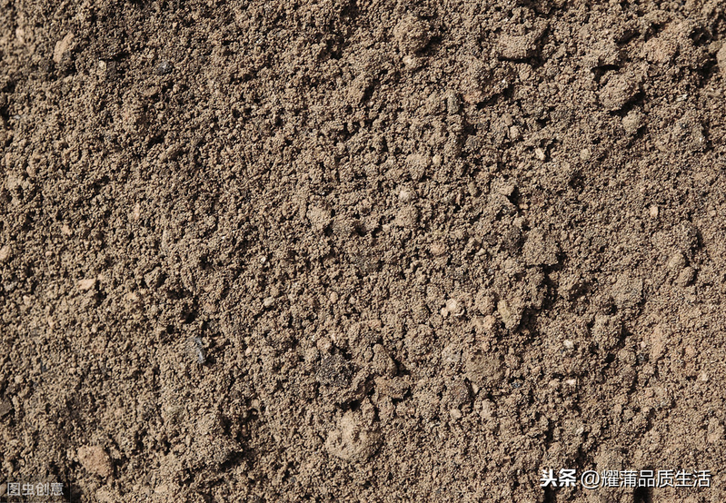 What techniques are needed for fruit tree cultivation