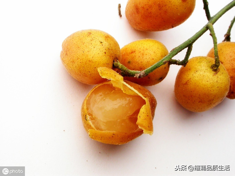 What techniques are needed for fruit tree cultivation