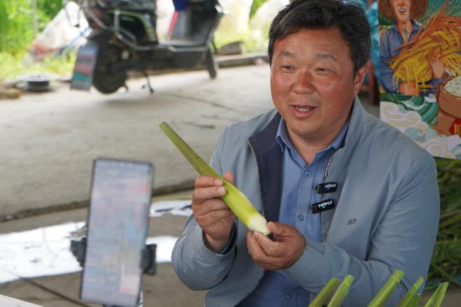 茭白种植技术视频