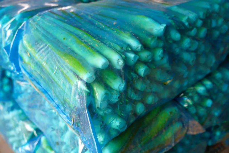 茭白种植技术视频