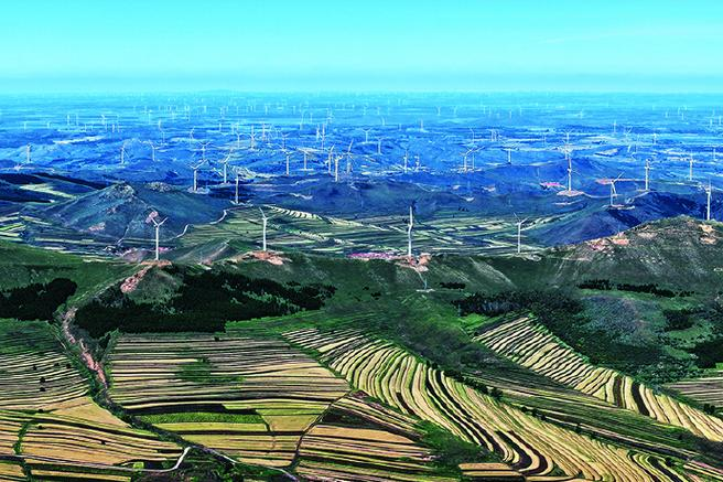 在树林养鸡要多少成本