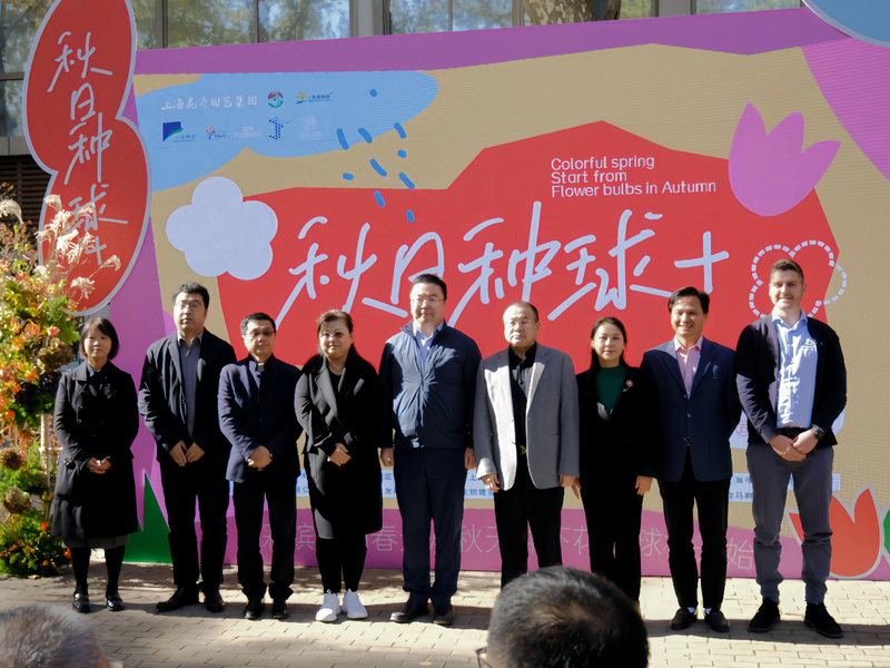 郁金香种球种植方法图解