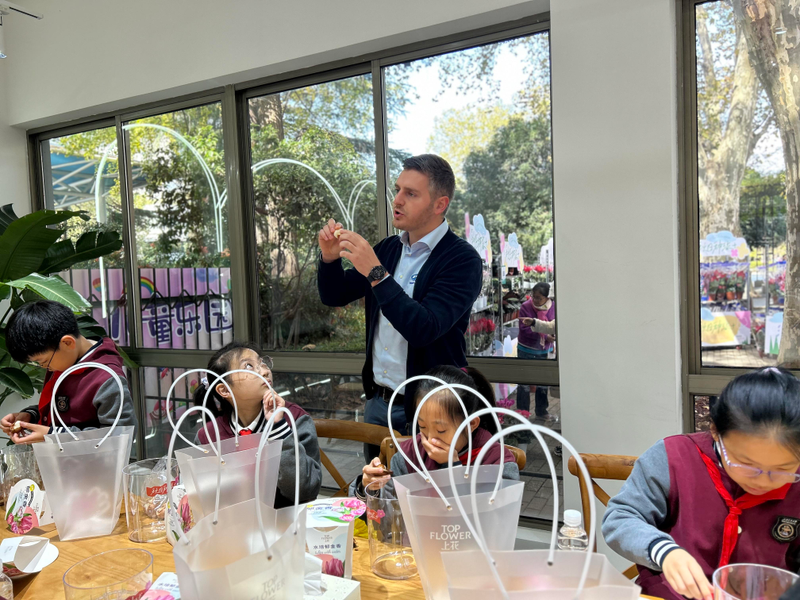 郁金香种球种植方法图解