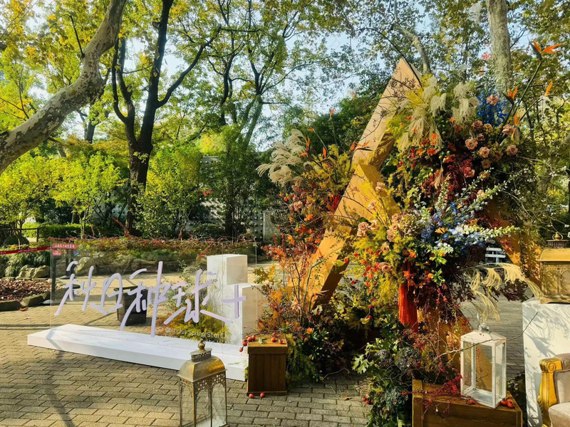 郁金香种球种植方法图解