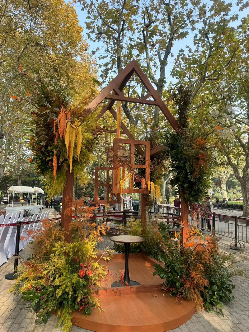 郁金香种球种植方法图解