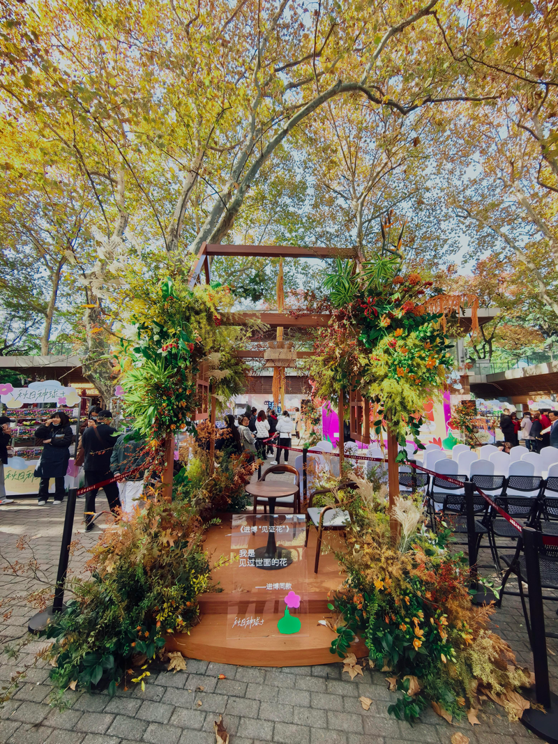 郁金香种球种植方法图解