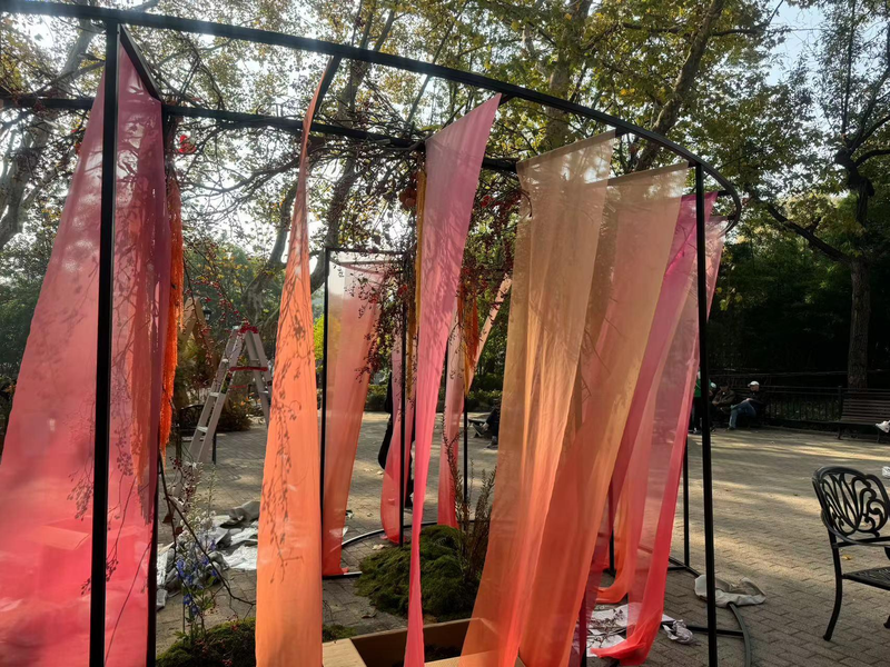 郁金香种球种植方法图解