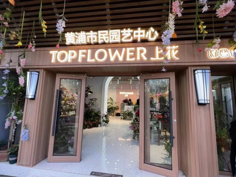 郁金香种球种植方法图解