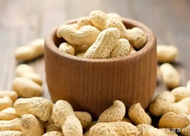 Plantation of flowers