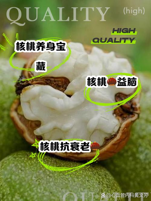 Plantation of walnut trees