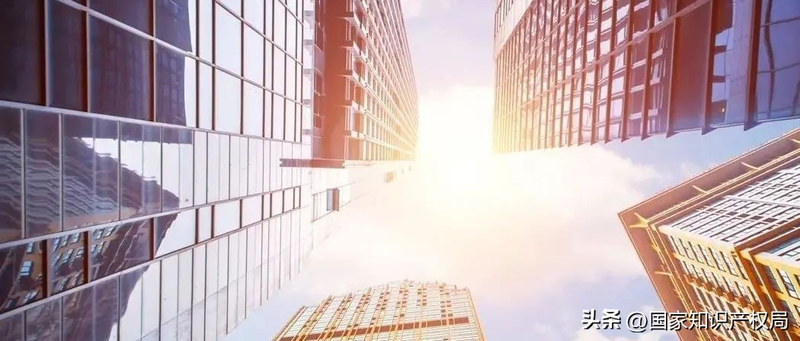 知识产权评估表