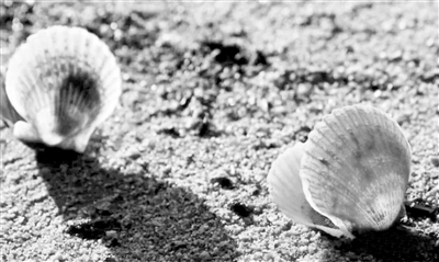 The price of moontop spa