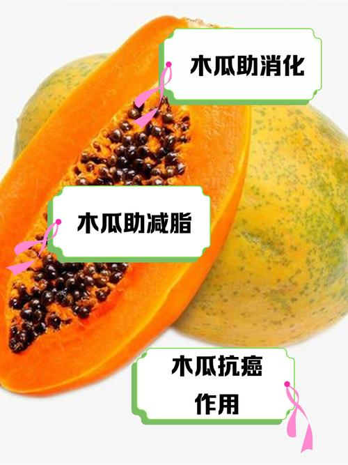 木瓜盆栽种植方法