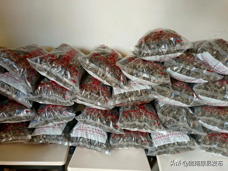 致富经食用菌种植技术