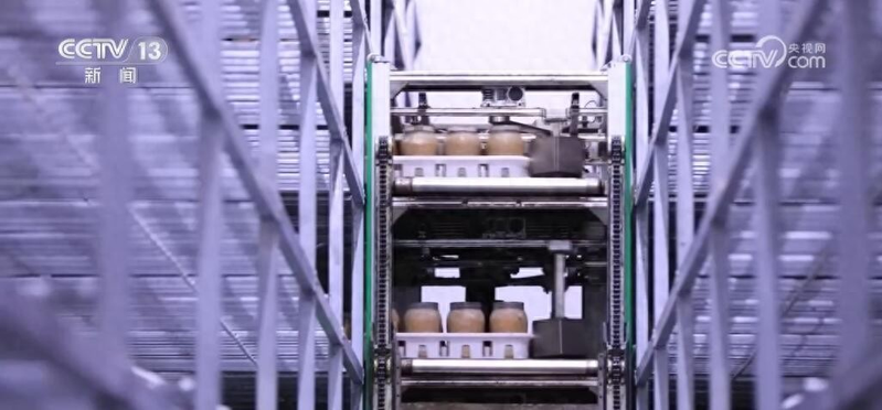 致富经食用菌种植技术