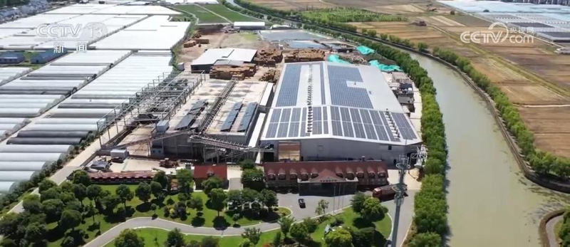 致富经食用菌种植技术