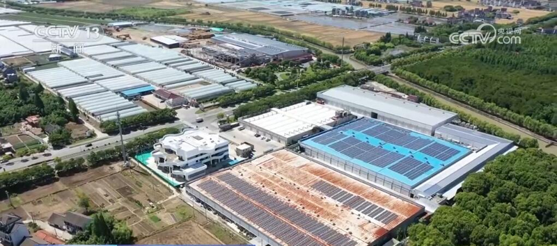 致富经食用菌种植技术