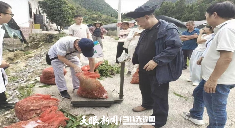 中药材种植技术研究所