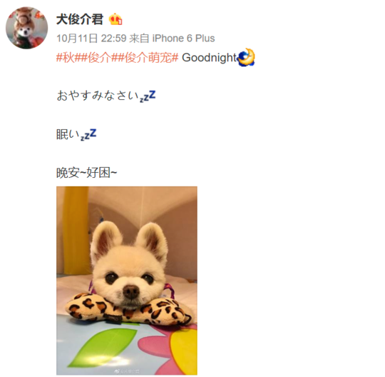 俊介多少钱一只