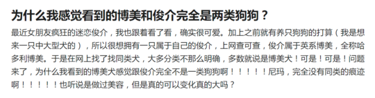 俊介多少钱一只