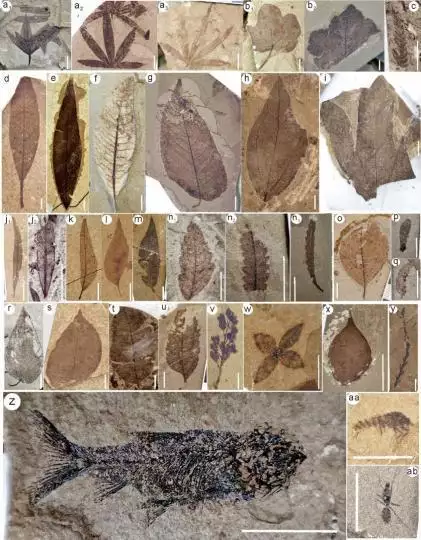 青藏高原地形特点