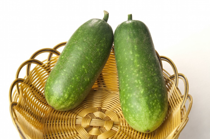 节瓜种植方法