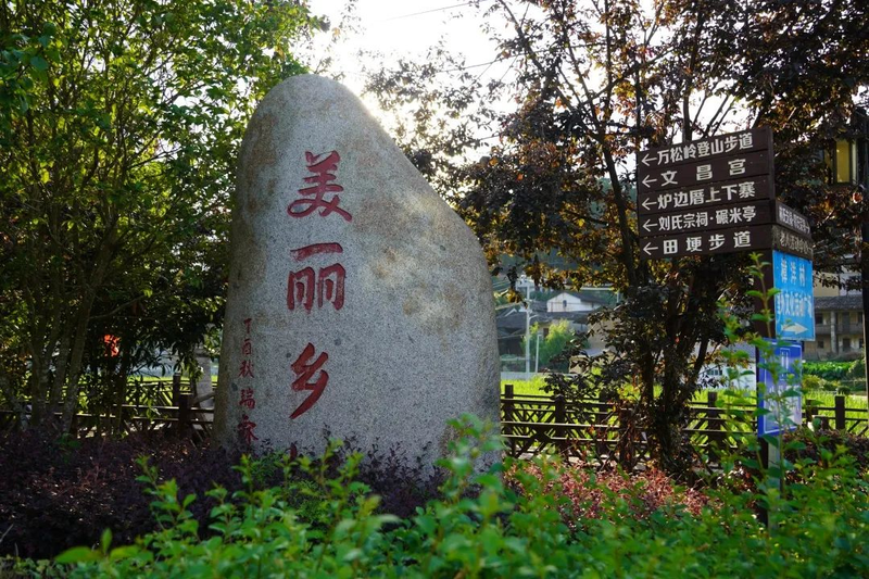 茭白种植技术视频