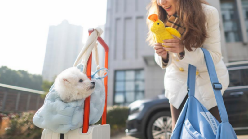 The best way to get car to formaldehyde