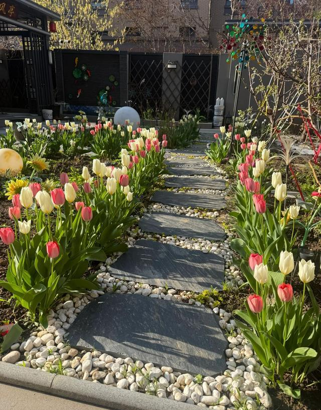 Diagram of tulip squiding