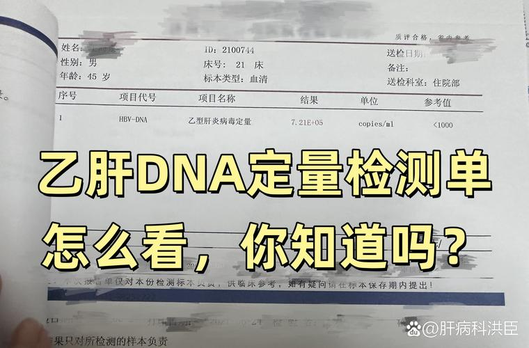 Hepatitis b dna testing method