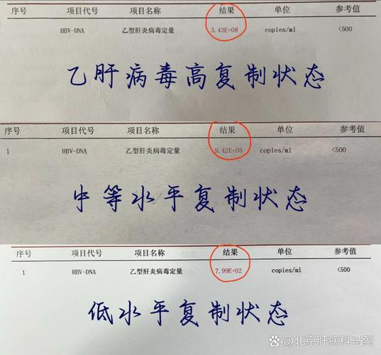 Hepatitis b dna testing method