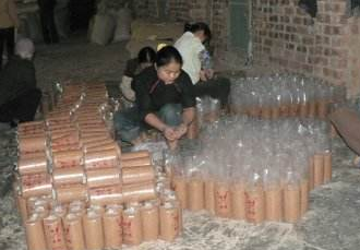 How to grow tea, mushrooms