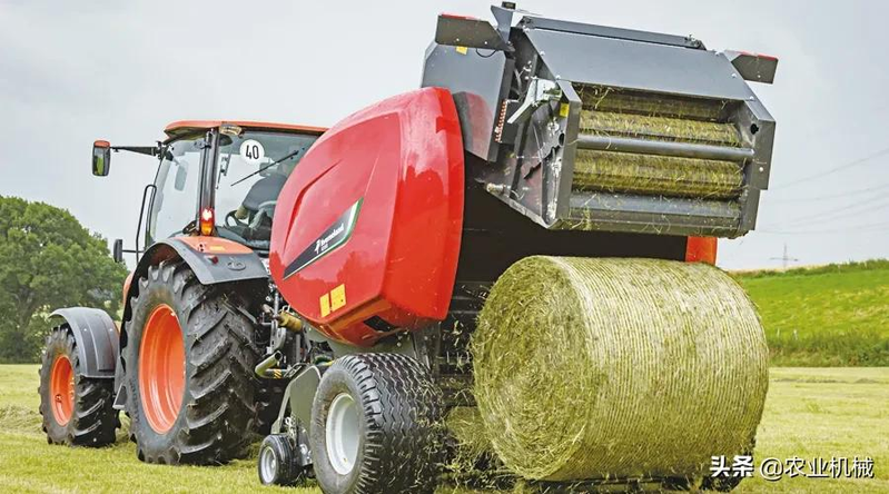 How do you plant herb seeds