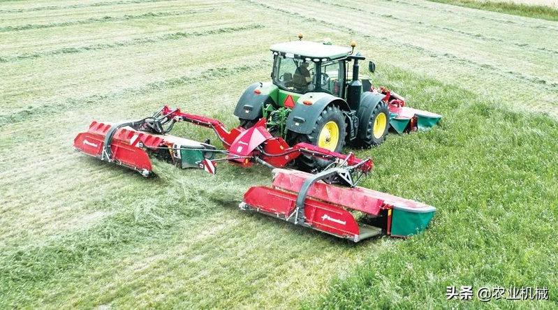 How do you plant herb seeds