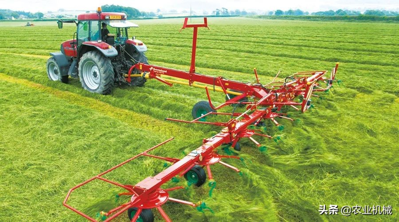 How do you plant herb seeds