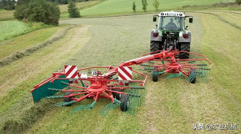 How do you plant herb seeds