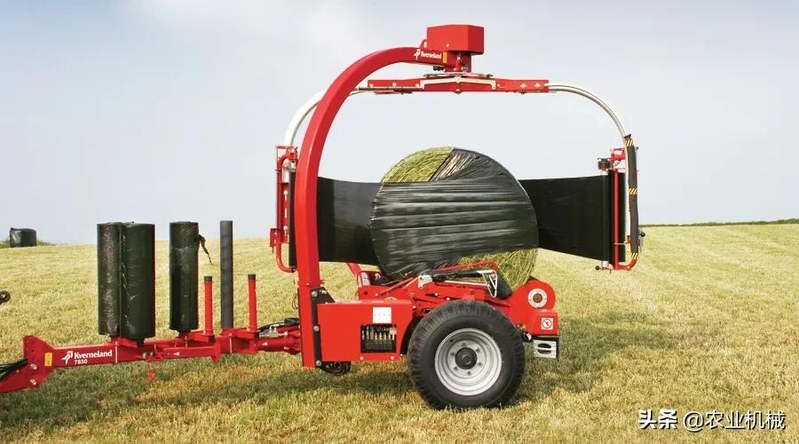 How do you plant herb seeds