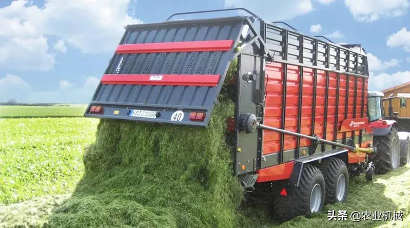 How do you plant herb seeds