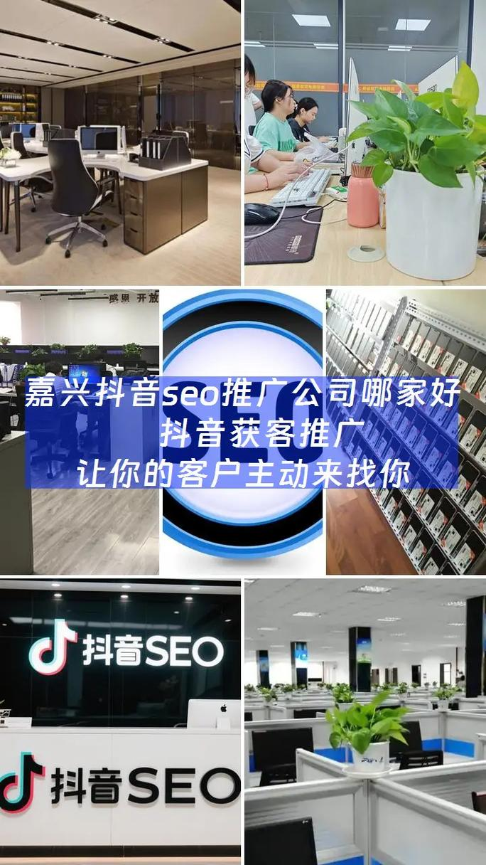 嘉兴seo网站排名优化