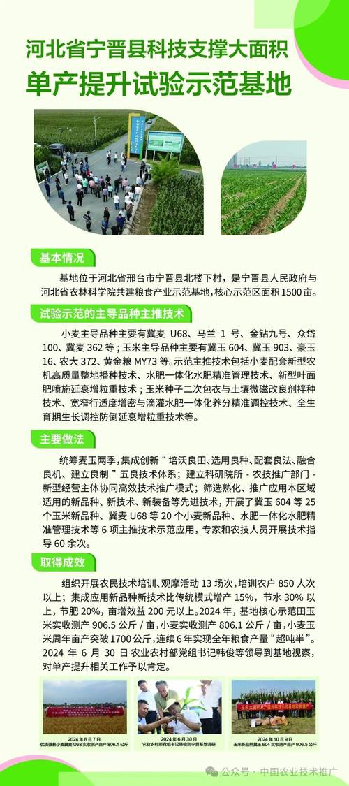 Spring wheat planting techniques and management