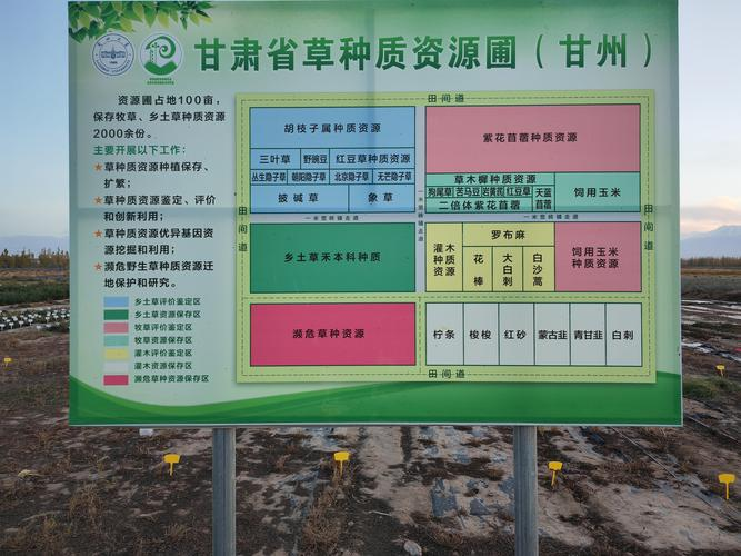 Spring wheat planting techniques and management