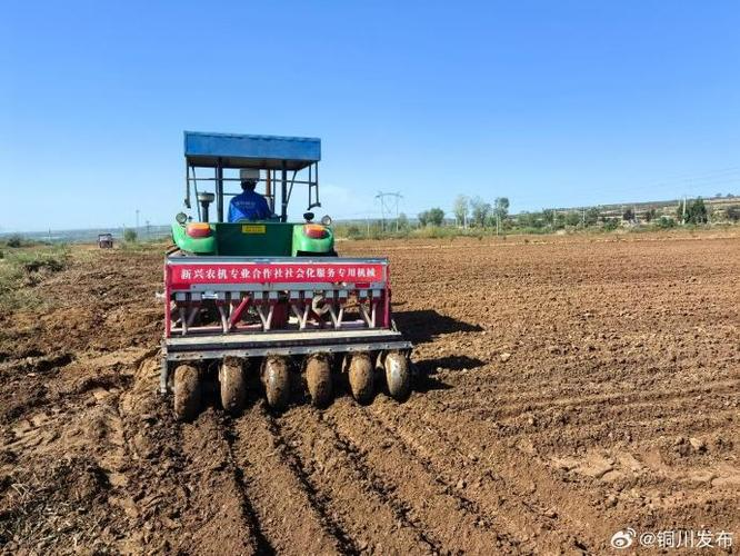 Spring wheat planting techniques and management