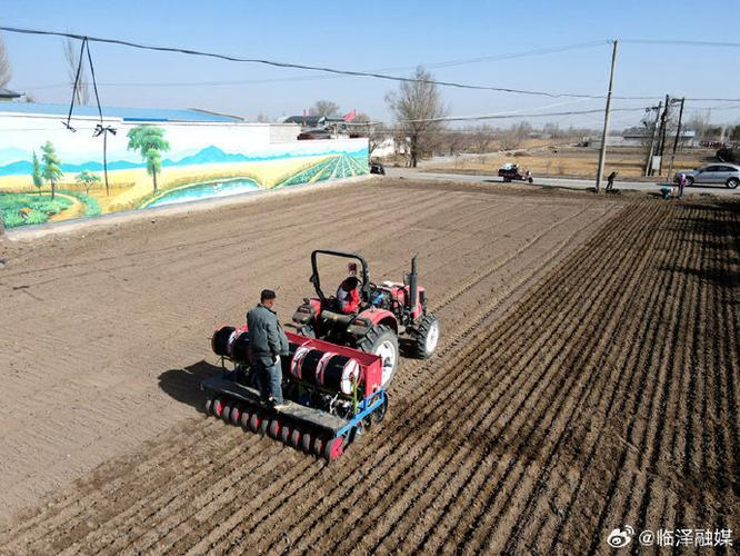 Spring wheat planting techniques and management