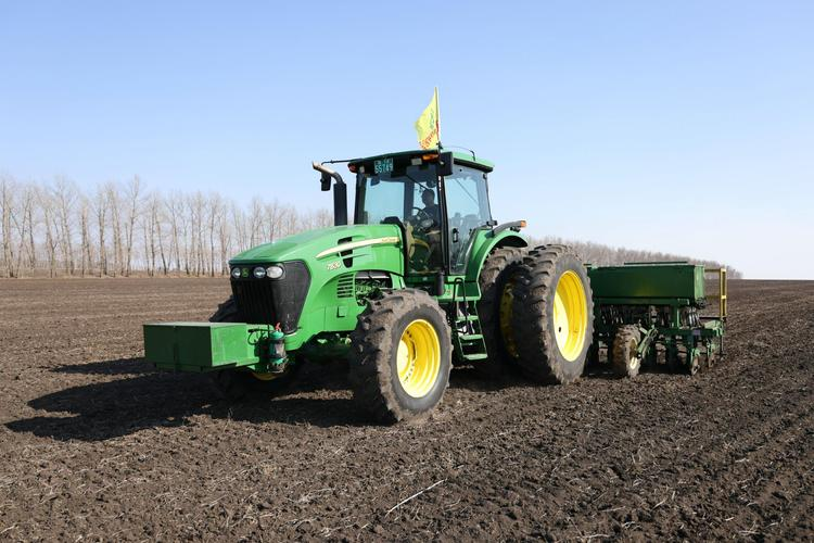 Spring wheat planting techniques and management