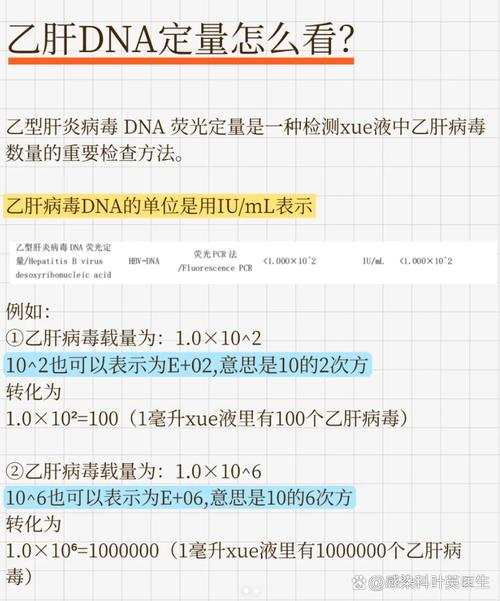 乙肝dna检测方法