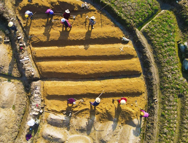 天麻子种植技术