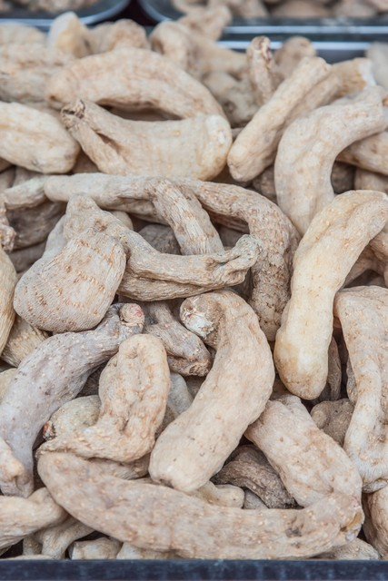 天麻子种植技术